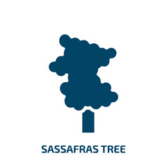 sassafras tree icon from nature collection. Filled sassafras tree, sassafras, tree glyph icons isolated on white background. Black vector sassafras tree sign, symbol for web design and mobile apps