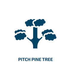 pitch pine tree icon from nature collection. Filled pitch pine tree, season, wood glyph icons isolated on white background. Black vector pitch pine tree sign, symbol for web design and mobile apps