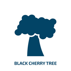 black cherry tree icon from nature collection. Filled black cherry tree, cherry, branch glyph icons isolated on white background. Black vector black cherry tree sign, symbol for web design and mobile