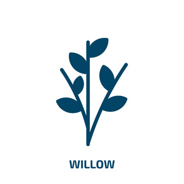 willow icon from nature collection. Filled willow, nature, forest glyph icons isolated on white background. Black vector willow sign, symbol for web design and mobile apps