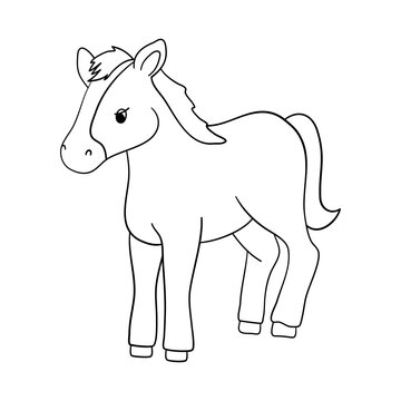 Cute outline horse character isolated on white background. Baby vector line illustration with farm animal for coloring book