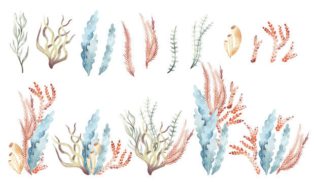 Watercolor hand drawn set with colorful illustration of abstract sea underwater plants, seaweeds, ocean coral reef. Marine floral elements isolated on white background. Aquarium decor collection.