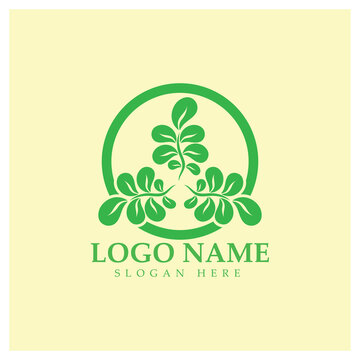 green moringa leaf logo, for herbal ingredients, moringa farming, health, medicine industry, beauty, therapy, concept design vector illustration icon template with a modern concept