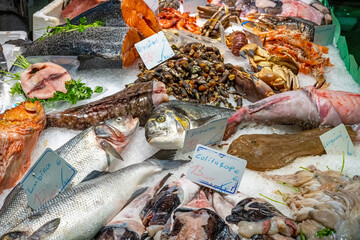Great chocie of fresh fish and seafood for sale at a market