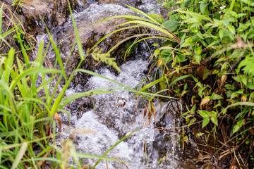 Mini waterfall in a small river