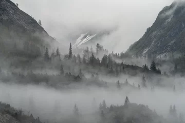 Papier Peint photo Lavable Forêt dans le brouillard Foggy landscape in Glacier Bay National Park