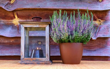 Heather plant in pot next to a lantern with candle. Autumn decoration. Card for All Saints' Day,...