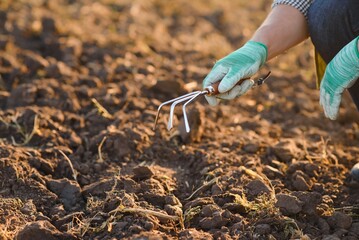 Farmer working in corn field with copy space