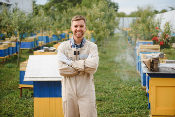 The beekeeper examines the bees with the analysis of the nest, establishes the strength of the...