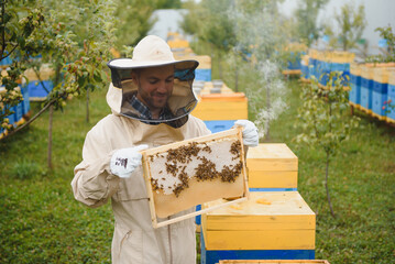 Beekeeper working collect honey. Beekeeping concept.