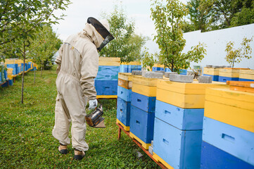Beekeeper is working with bees and beehives on the apiary. Beekeeping concept
