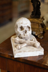 Human Skull Ornament Leaning on a Wooden Cabinet