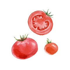Beautiful vector stock clip art illustration set with hand drawn watercolor tasty red tomato vegetable. Healthy vegan food.