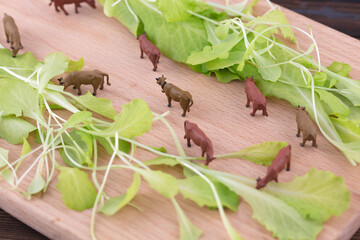Miniature photography of cows eating grass on chopping board
