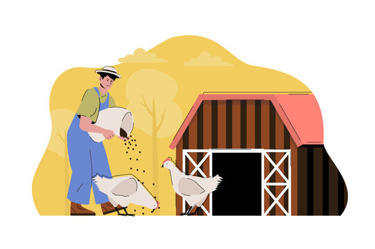 Poultry farming concept. Farmer feeding chickens, works on his farm situation. Aviculture, agribusiness people scene. Illustration with flat character design for website and mobile site