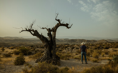 Adult man in cowboy hat standing on desert during sunset. Almeria, Spain - obrazy, fototapety, plakaty