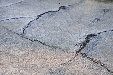 Asphalt road damaged by tree roots