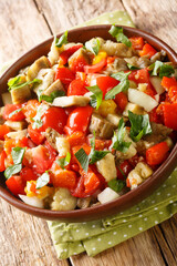 Roasted aubergine salad kozlenmis patlıcan salatası with roasted peppers, onions, tomatoes and garlic closeup in the bowl on the table. Vertical