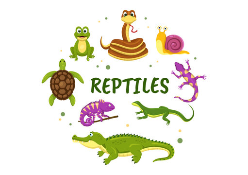 Set of Animal Reptile Template Hand Drawn Cartoon Flat Illustration with Various Types of Reptiles Animals Concept