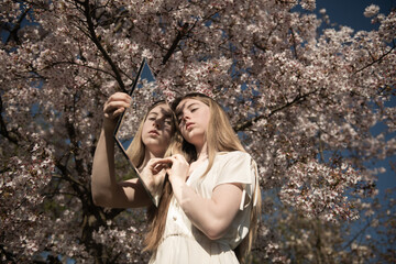 art portrait of woman in white dress in spring near blossoming sakura flowers holding mirror