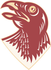 Hawk Head Looking Up Retro