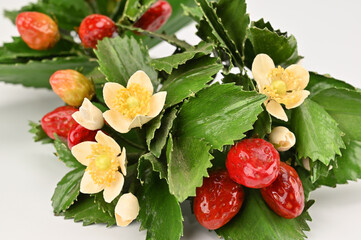 Artificial strawberries are green and flowers are blooming