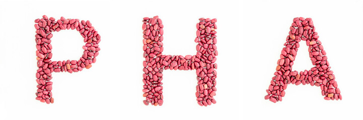 PHA or Phytohaemagglutinin headline from red kidney beans. Beans font. White background. Lettering design elemen