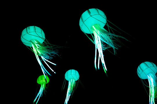 Des méduses lumineuses flottent dans la nuit noire