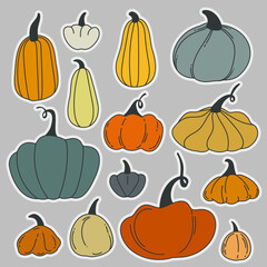 Pumpkins vegetable vector cartoon characters. 