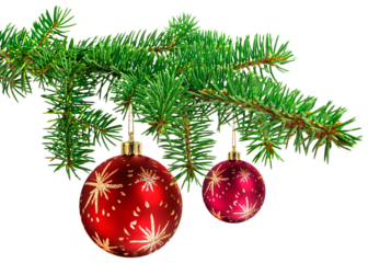 Red decoration balls on christmas tree branch