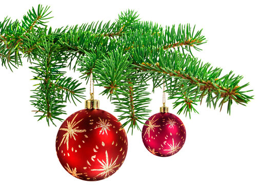 Red decoration balls on christmas tree branch