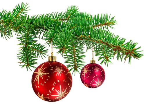 Red decoration balls on christmas tree branch