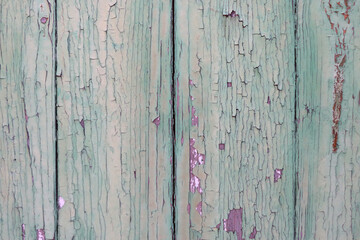Old wooden fence with peeling paint, nature background.