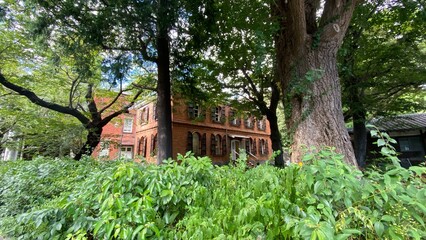 Beautiful campus of the University of Tokyo Fine Arts, year 2022 from the street of Tokyo walk