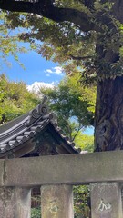 Beautiful rustic ancient look temple architecture of Buddhist temple, Ueno Tokyo Japan year 2022
