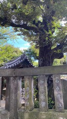 Beautiful rustic ancient look temple architecture of Buddhist temple, Ueno Tokyo Japan year 2022
