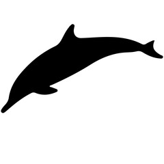 Underwater animal silhouettes