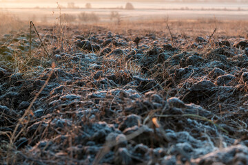 first frost on the soil field ground. Plowed field furrows. Frosty field covered with frost