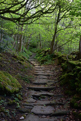 Fototapeta na wymiar Rock Nun Steps Winding Through the Woodlands
