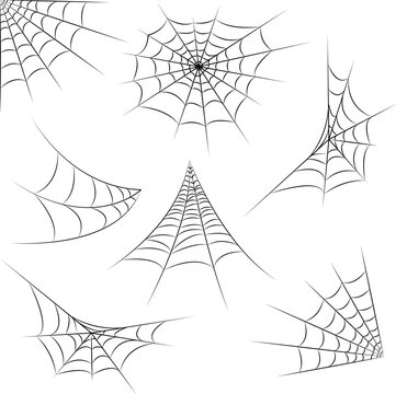 Spider web set isolated on white background. Halloween black cobwebs. Outline vector illustration