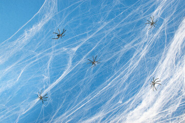 Creative composition made of spider web on blue background. Minimal Halloween party or decoration concept.