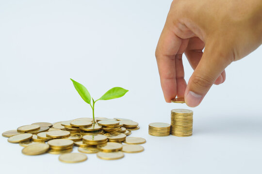 A hand lays a Coins and plant, isolated over white background
