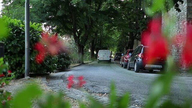 white van passing in a tree-lined street of a small Italian town, "Cingoli"