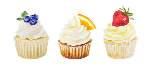 Watercolor illustration of sweet cupcakes with fruits. Cliparts isolated for different cafe menu or food designs