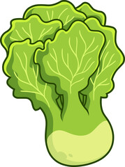 Cartoon Fresh Lettuce. Hand Drawn Illustration Isolated On Transparent Background