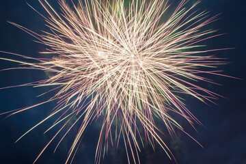 Fototapeta premium Canada Day Fireworks