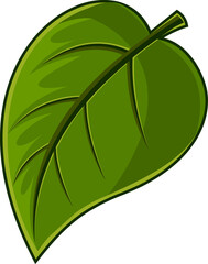Cartoon Green Leaf Fresh Organic Plant. Hand Drawn Illustration Isolated On Transparent Background