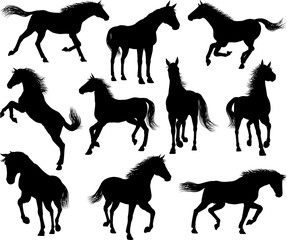 Horse Silhouettes Set