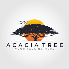 sunset sunrise in the forest logo design. acacia tree vector logo design