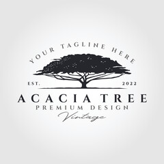 acacia tree silhouette vector logo symbol illustration design, vintage tree logo design